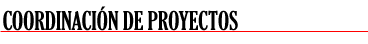 Coordinación de proyectos